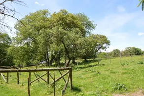 This plain house is very suitable for groups - Image 3