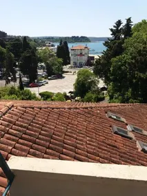 Dragica - Image 2