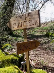 Voler Avec les Oiseaux - Image 3