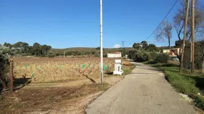 Gite " Au Milieu des Vignes " - Image 2