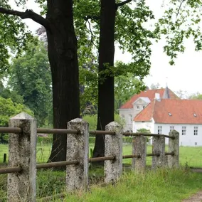 De Tomaat - Image 2