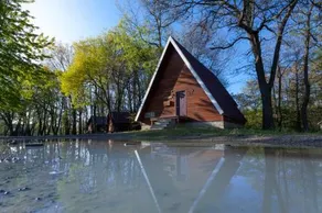 Serenity Springs - Image 5