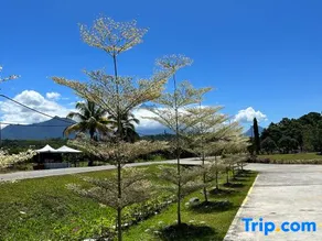 Wendu Inn Hotel, Kota Belud - Image 3
