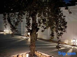 Vancouver Garden Hotel - Image 5