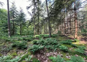 Apartment in Gelderland Near Nature Trails - Image 5
