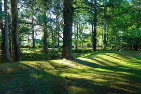 Tinakilly Country House Hotel & Gardens - Image 2