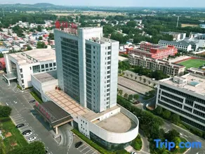 Blue Horizon Junhua Hotel - Image 5