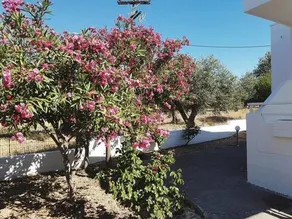 Chrysanthi Studios - Image 2