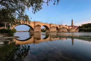 Sabinas Alfonso - Image 3