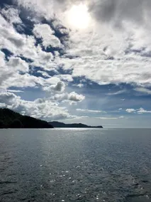 Pura Vida Private Villa - Image 3