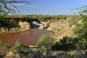 Lion's Cave Camp Samburu - Image 5
