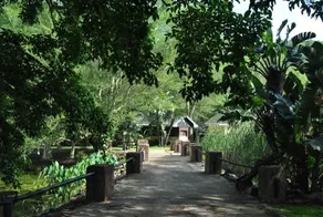 Wellvale Resort - Image 4