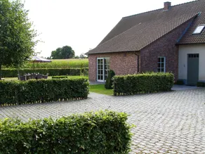 This Spacious Holiday Home in the Smallest Details - Image 2