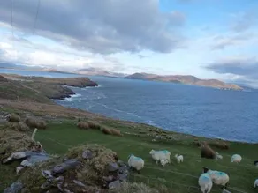 Skellig Cottages - Image 5