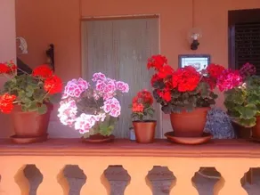 Bed And Breakfast Gherghina - Image 5