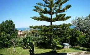 Al Profumo D'ulivo - Image 3