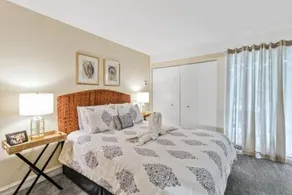 Lake Geneva's resort amenities - Image 4