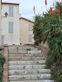Cap Antibes Les Bosquets - Image 3