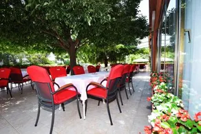 Guest house Podgorje - Image 5
