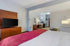 Comfort Suites La Porte - Image 4