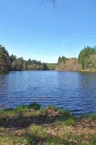 la verenerie - Image 5