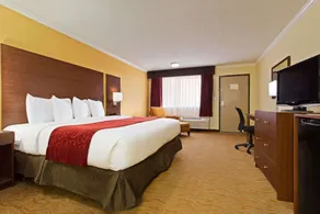 Ramada by Wyndham Tampa Westshore Airport South - Image 2