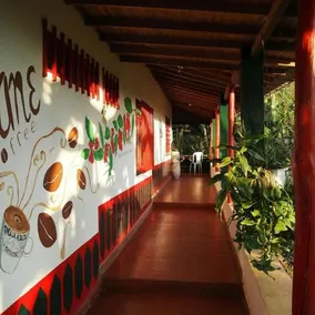 Alojamiento Rural Cafe Yarumo - Image 2