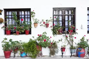 Laborda - Image 4