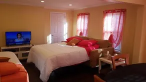 Cozy Suite near JFK - Image 3