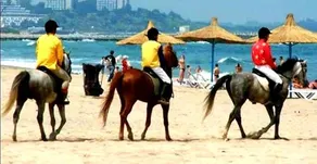 Yvo Mermaid & Saturn / Mangalia - Image 2