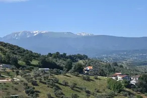 Villa Leonardo Apartments - Image 4