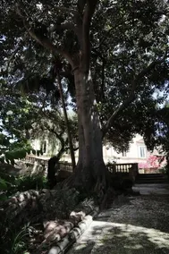 Garden Suite - Image 5