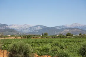 Villa in Consell for 3 people with 2 rooms Ref. 658172 - Image 3