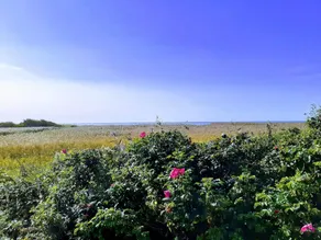 8 Person Holiday Home in Skjern - Image 5