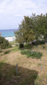 Club Malibu Hotel Beach & Restaurant - Image 5