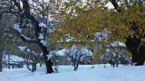 Fattoria La Guedrara - Image 3