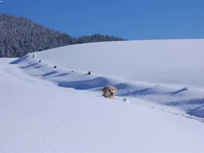 Inviting Apartment in Auffach Wildschönau near Ski Area - Image 2