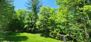 Private 5 BR Muskoka Cottage Firepit+BBQ+Wi-Fi - Image 4