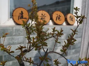 Tingqian Yuanhou Hostel - Image 3