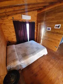 Albaricoque - Image 3