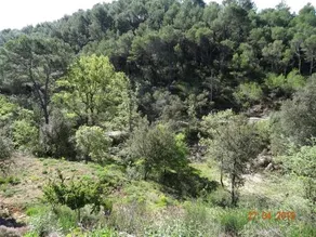 A la campagne - Image 5