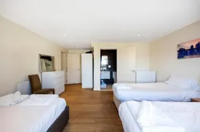 CANARY WHARF/DOCKLANDS/EXCEL SPACIOUS APT E14 - Image 5