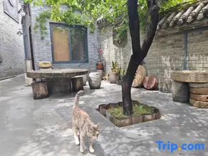 Longfengshan Ancient Town Pomegranate Garden Homestay - Image 4