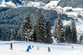 BS-Ötscher - Image 2