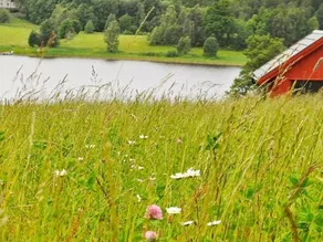 Holiday home in Frändefors 1 - Image 2