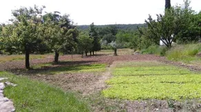 Agriturismo Bosco Fiorito - Image 2
