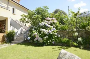 Il Melograno - Image 3