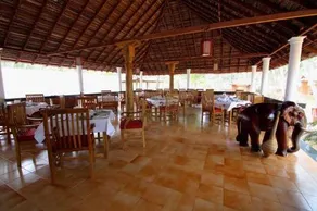 Yantra Ayurvedic Resort - Image 4