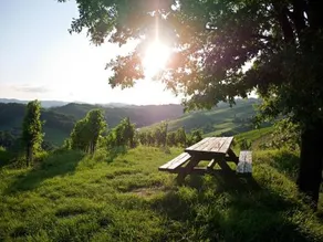 Holiday Home Winzerhaus Eva - Image 4