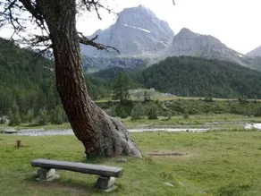 Voglia Di Veglia - Image 5